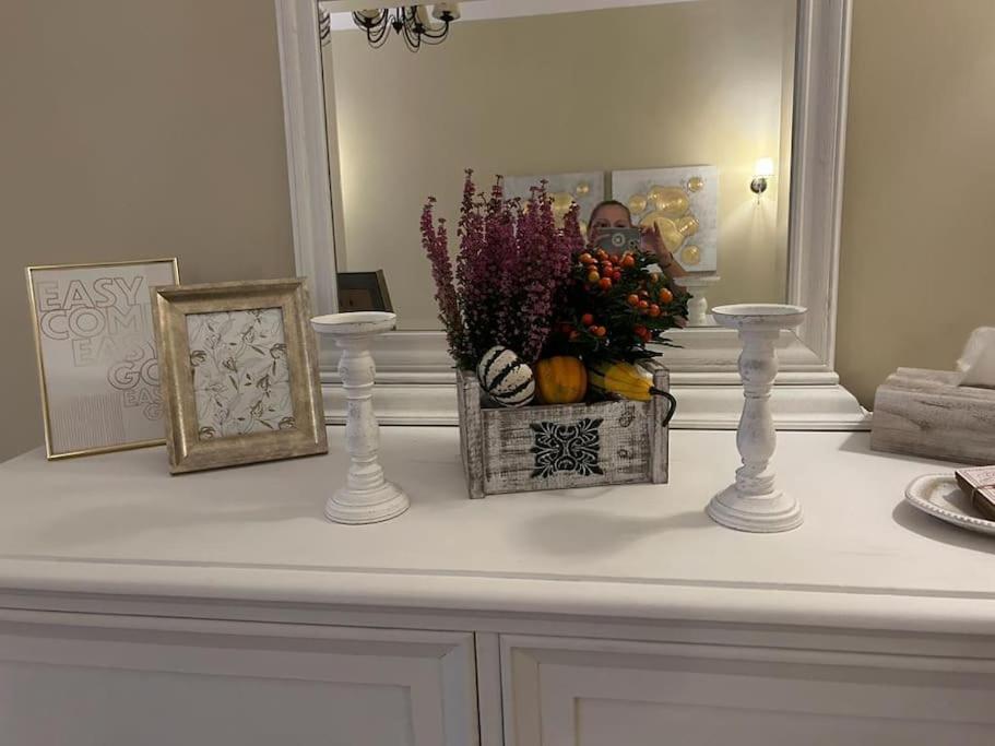 Studio Montaldo Brasov Ngoại thất bức ảnh